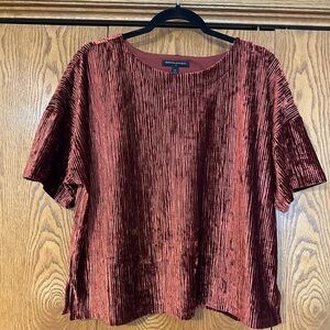 Banana Republic Warm Brown Boxy Velvet Ribbed Short Sleeve Blouse